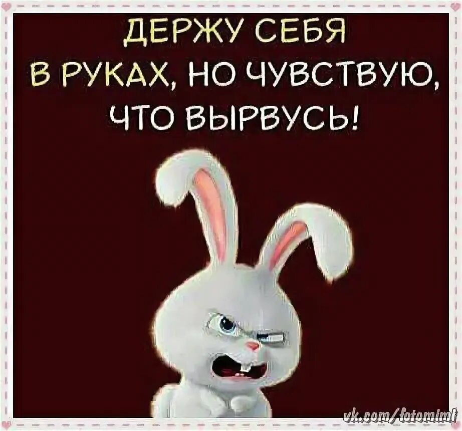 Злая от того знаю зая а. Настроение злая зая. злые картинки с надписями. открытка держись.