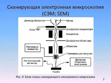 Принцип электронного микроскопа