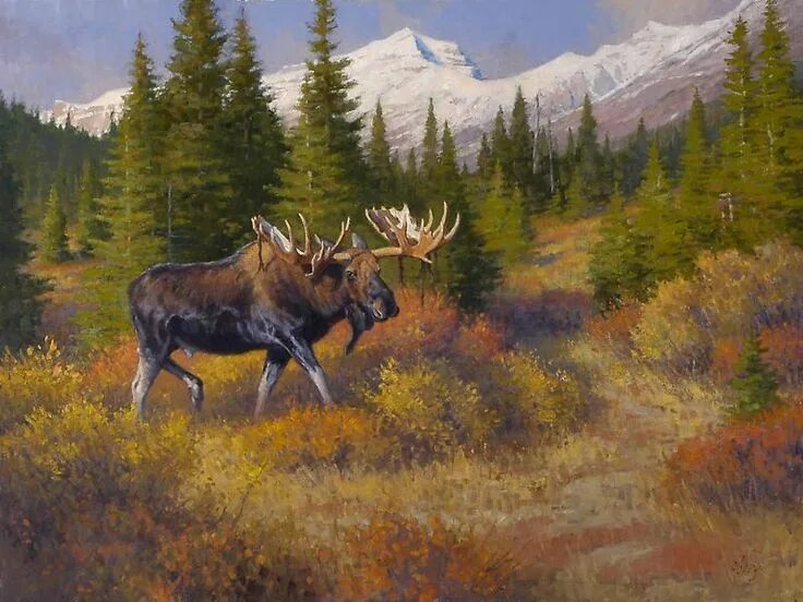Картина лось в лесу. Художник ralph oberg. robert bateman лось.