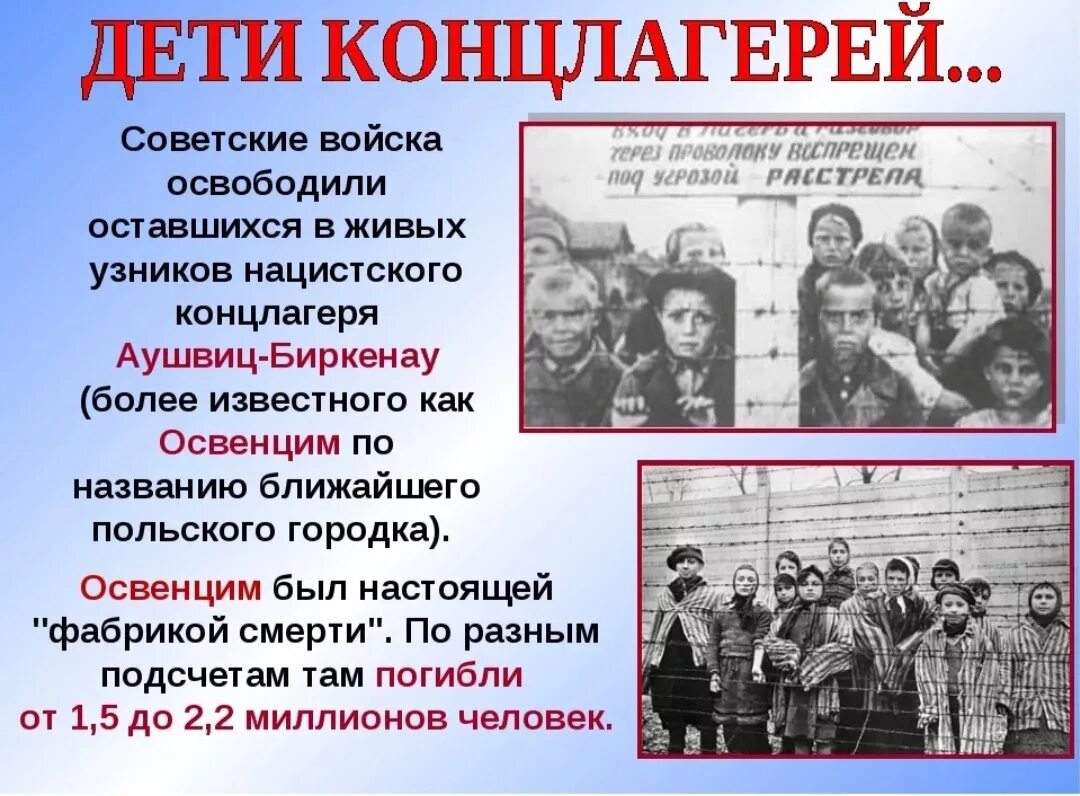 Геноцид советского народа сообщение. Лагеря смерти в Германии Освенцим. Лагерь Аушвиц-Биркенау в Освенциме труд. Узники фашистских концлагерей.