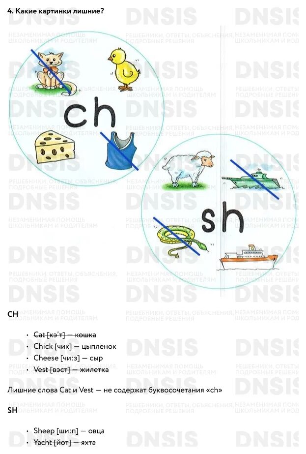 Английский язык 2 класс страница 13. Какие картинки лишние английский 2 класс. Спотлайт 2 стр 13. Sh Ch математика. Спотлайт 2 стр 10