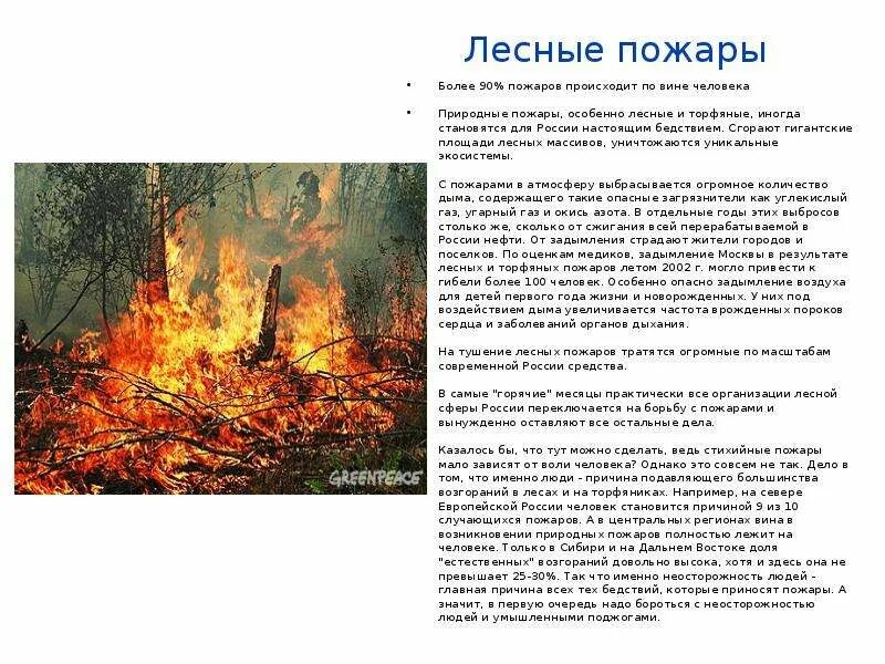 Лесные и торфяные пожары сообщение. Природные пожары лесных и торфяных пожаров. сообщение о лесных пожарах. сообщение на тему лесные пожары. пожар по вине человека.