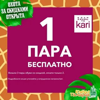 Кари сегодня