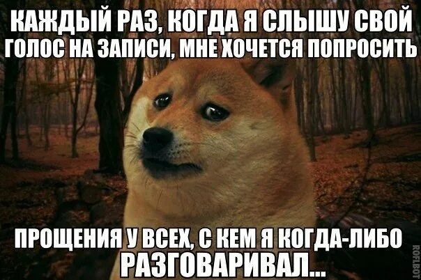 А ты отдал свой голос. Свой голос в записи. Когда слышишь свой голос на записи. Когда слышишь свой голос на записи Мем. Когда услышал свой голос.