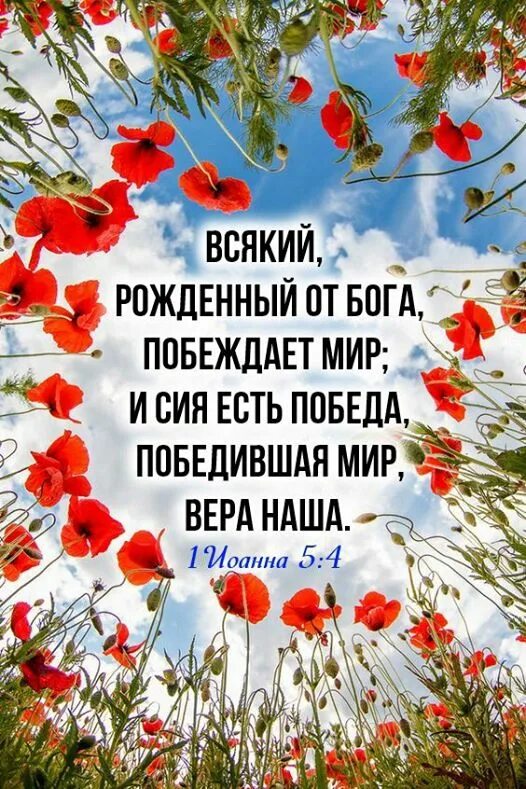 Мирного доброго утра картинки и хорошего дня. Доброго мирного утра. Доброе утро и миоюрного неба. С добрым утром мирного неба. С новым днём картинки с пожеланиями.