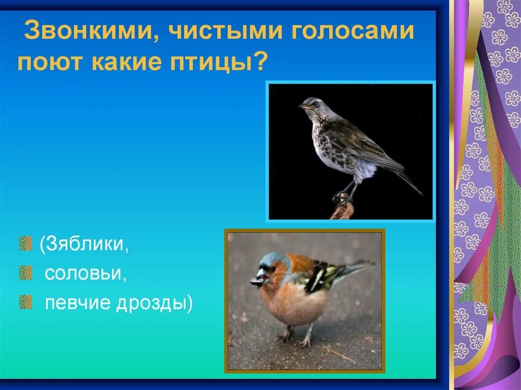 Чистыми голосами поют соловьи зяблики певчие Дрозды. Звонкими чистыми голосами поют зяблики. Звонкими, чистыми голосами поют зяблики, соловьи, певчие Дрозды. Чистыми голосами поют соловьи, зяблики, певчие Дрозды. Разбор. Чистый звонкий голос