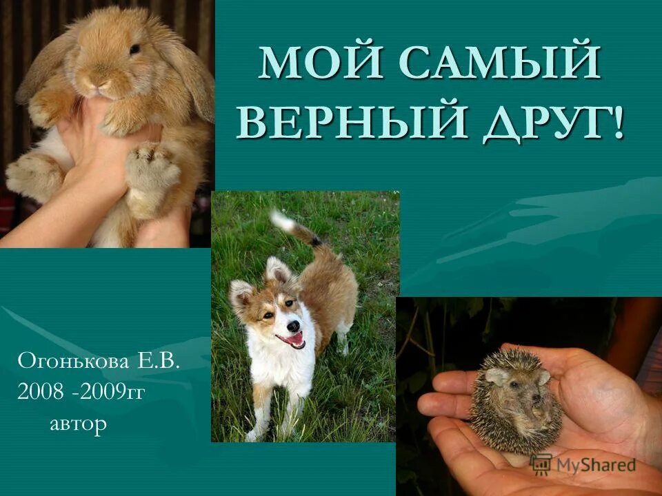 Книга самый верный друг