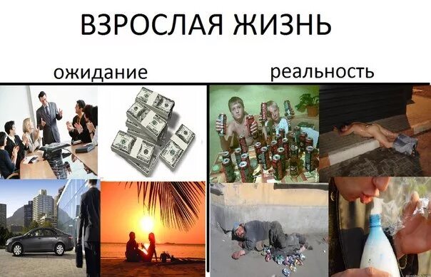 Взрослая жизнь картинки. Взрослая жизнь. Взрослая жизнь ожидание реальность. Приколы про взрослую жизнь. Картинки я и взрослая жизнь.