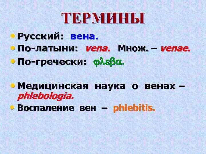 Вена латынь Словарная форма. Воспаление вен на латинском. Вена на латинском Словарная форма. Воспаление внутренней оболочки вены латынь