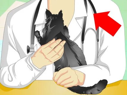 Порно аналар аш