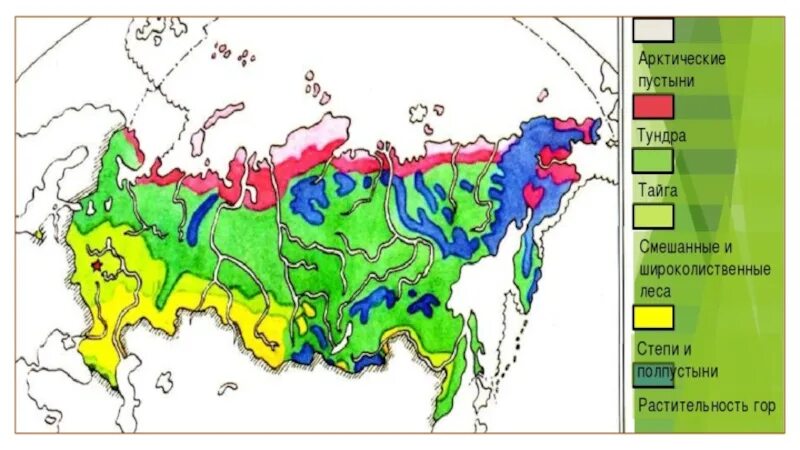 Тайга на карте. Тундра на карте. Тундра и Тайга на карте России. Тайга тундра степь.