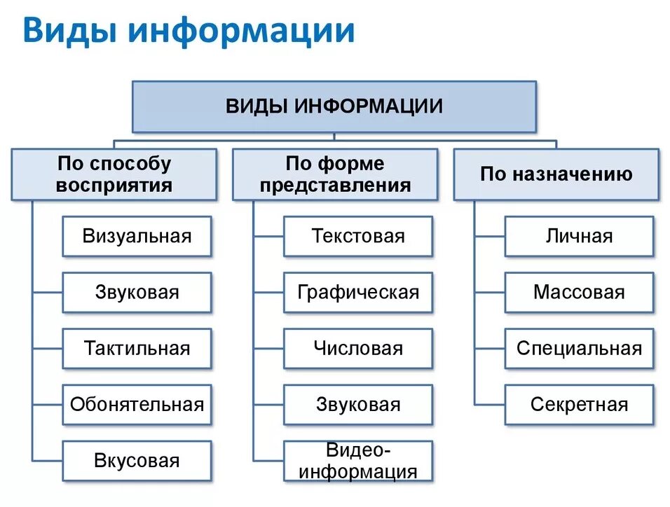 Методы отображения информации. Информация виды и свойства информации Информатика. Виды информации в информатике 10 класс. Какие есть виды информации. Перечислите основные виды и свойства информации..