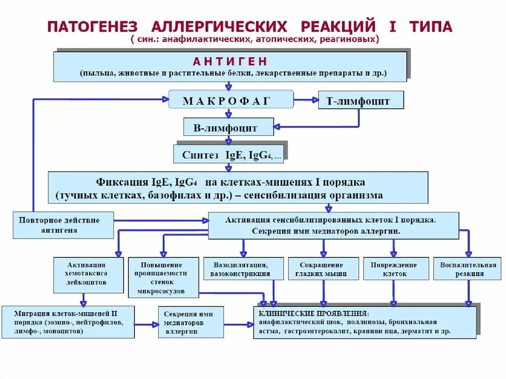 клинические симптомы диабета. клиническая картина диабета 2 типа. клинические симптомы диабета. основные клинические признаки сахарного диабета. основное проявление сахарного диабета:.