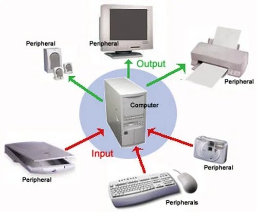 Output компьютера. Output devices of Computer. Инпут аутпут. Input and output devices of Computer. Output units
