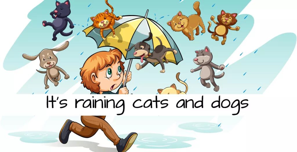 Is it raining ответ. Rain Cats and Dogs идиома. Идиомы raining Cats and Dogs. Идиомы it's raining Cats and Dogs. Raining Cats and Dogs идиома.