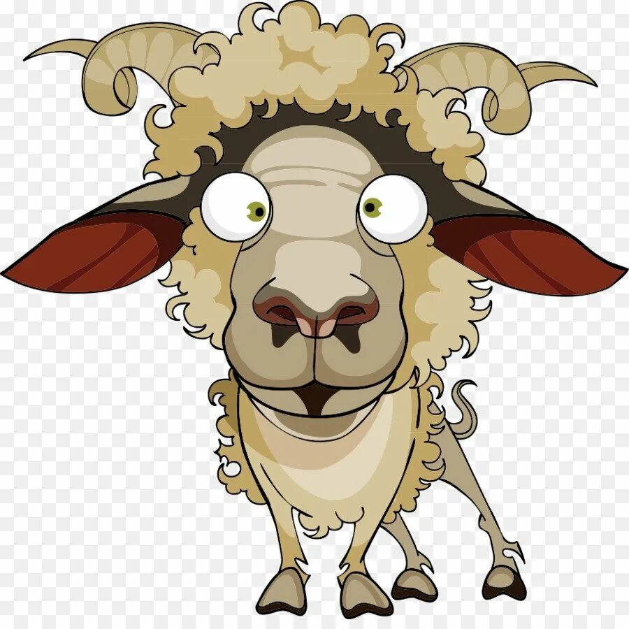 Aries знак зодиака. Удивить овна. Овен ариес. Удивить овна. Подарки для овна.