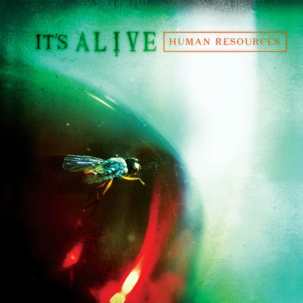 Alive here