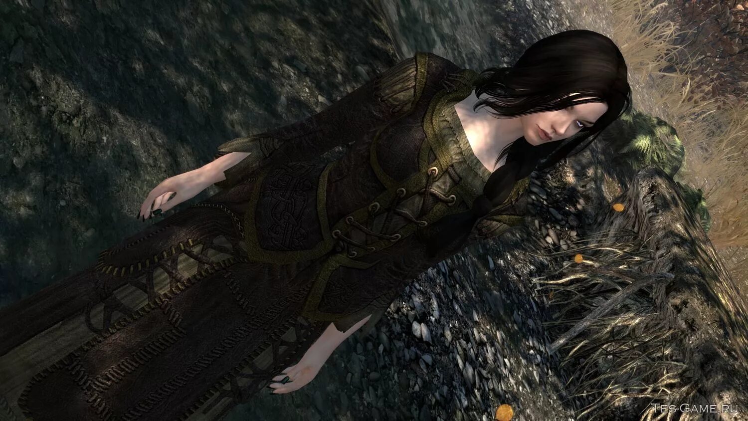Skyrim se flora. Skyrim se &quot;очаровательная рейчел&quot;. skyrim se &quot;спутница селина&quot;. skyrim компаньон cerinian.