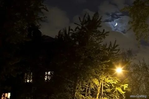 Ночь глубокая тихо