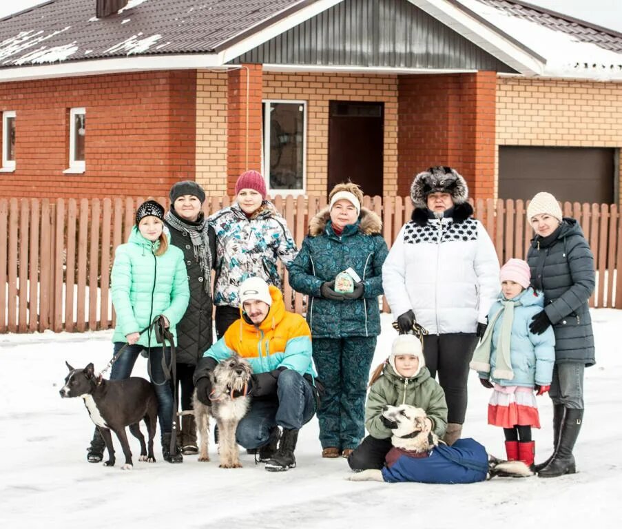 Хата самара. Приют хати. Приют хати в Самаре. Приют для животных хати Новокуйбышевск. Экодолье в новый год.