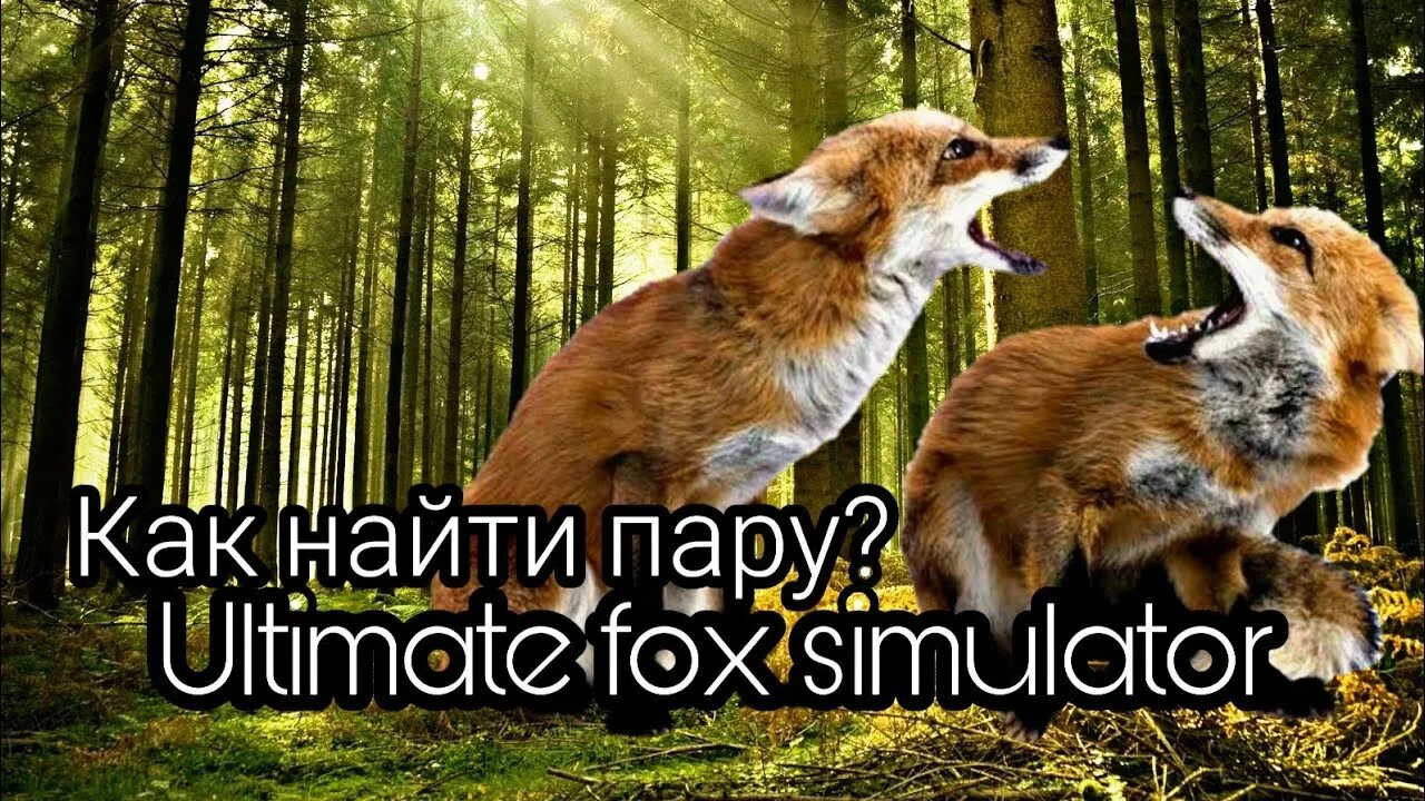 Ultimate fox. Ультимейт Фокс симулятор. Симулятор лисы. Ультимейт Фокс симулятор 2. Гонка лисой.