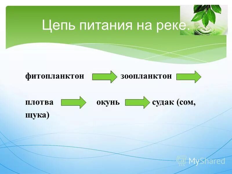 Укажите правильную цепь питания