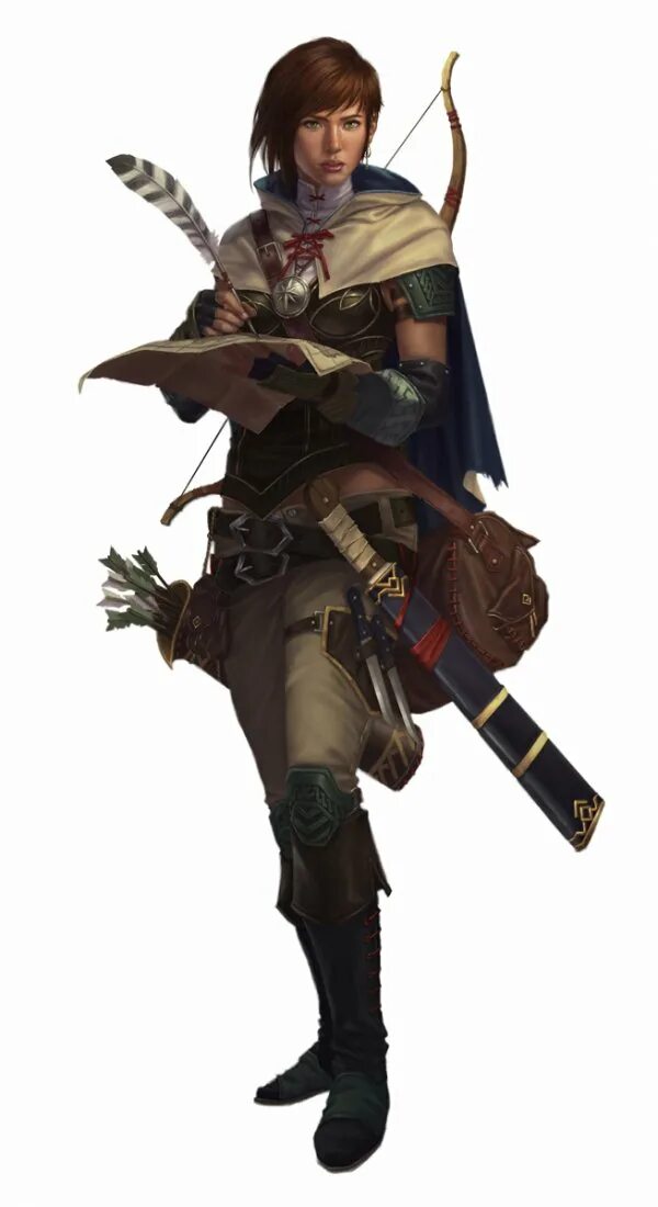 Плут следопыт. Днд бард плут. pathfinder бард. pathfinder плут эльф. pathfinder kingmaker воин.