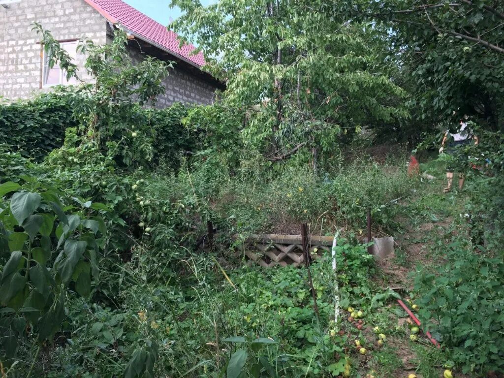 Снт изобилие волжский. СНТ изобилие. Волжский изобилие. СНТ Яблоневая Волжский участки. Чайка, СНТ изобилие.