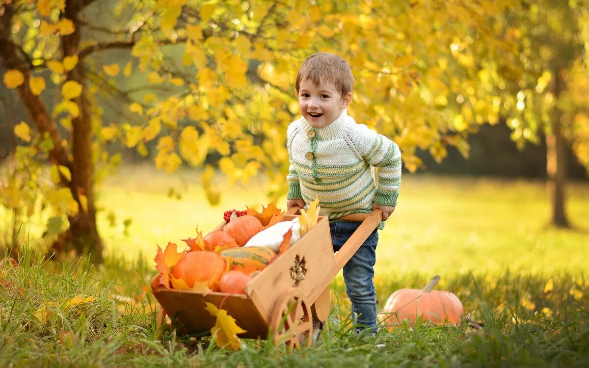осенний фотопроект на природе. урожай детская. собирают урожай осенью. урожай для детей. осенний сбор урожая.