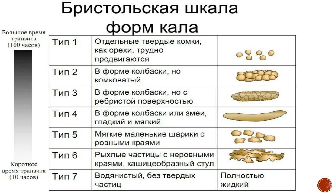 Бристольская шкала цвета кала. Бристольская шкала Тип 1. Бристольская шкала формы фекалий. Бристольская шкала оценки стула. Шкала кала по бристольской шкале