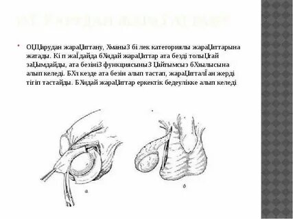 Аудармасы бар бисексуалдық порно фильмдер