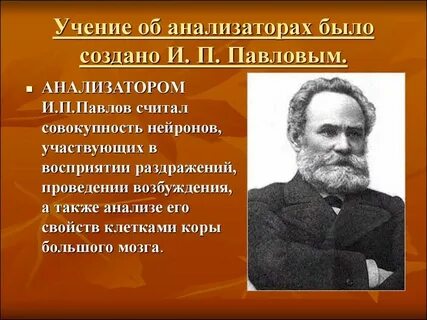 Учение об общем это