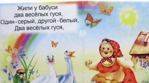 Жили ц
