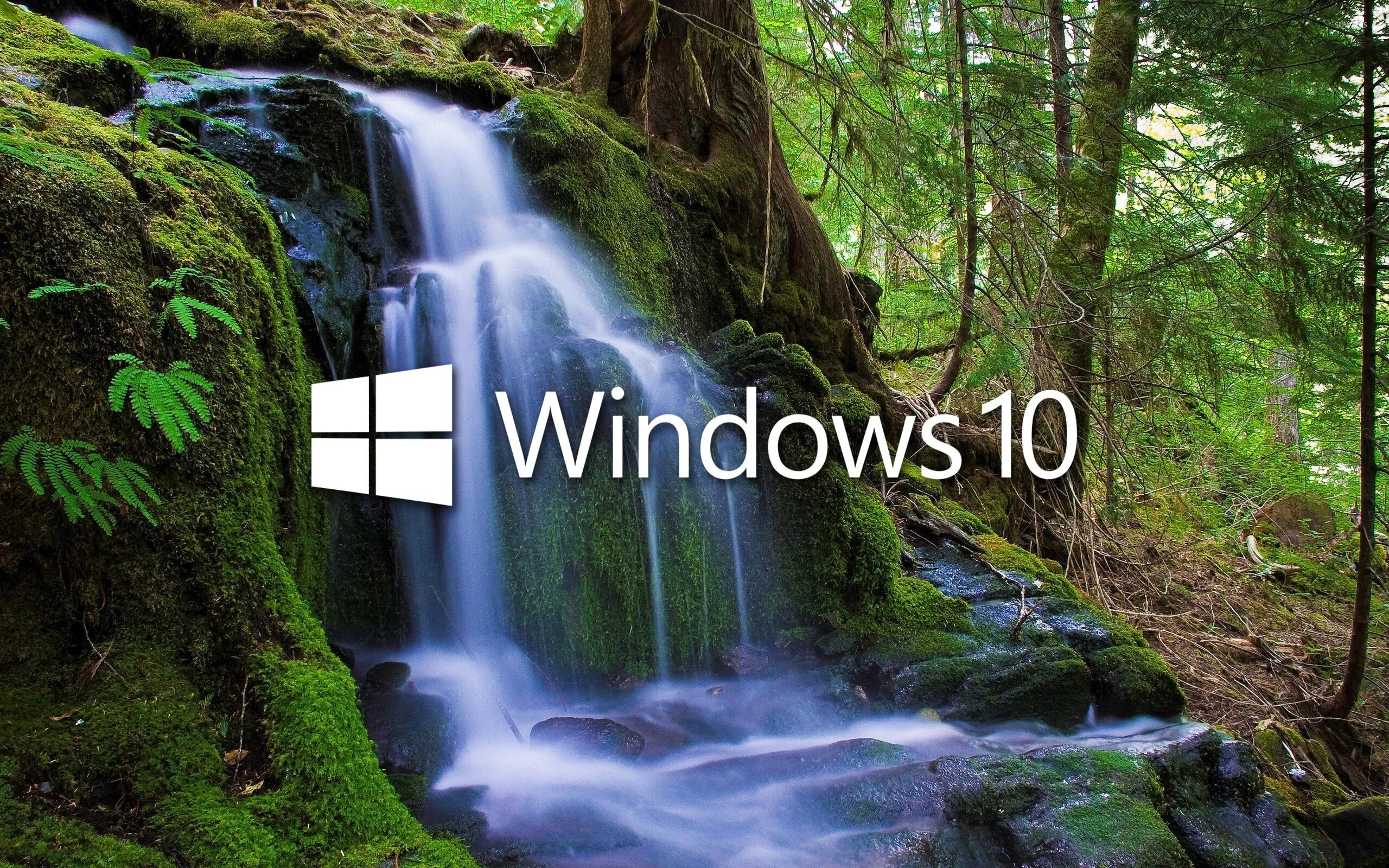 Рабочий стол Windows 10. Обои Windows 10. Заставка виндовс 10. Картинки виндовс 10. Установить живые обои на экран блокировки