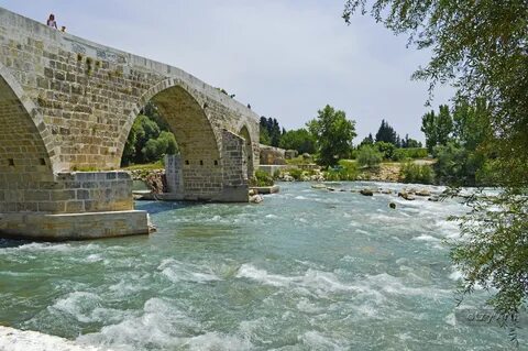 Side bridges