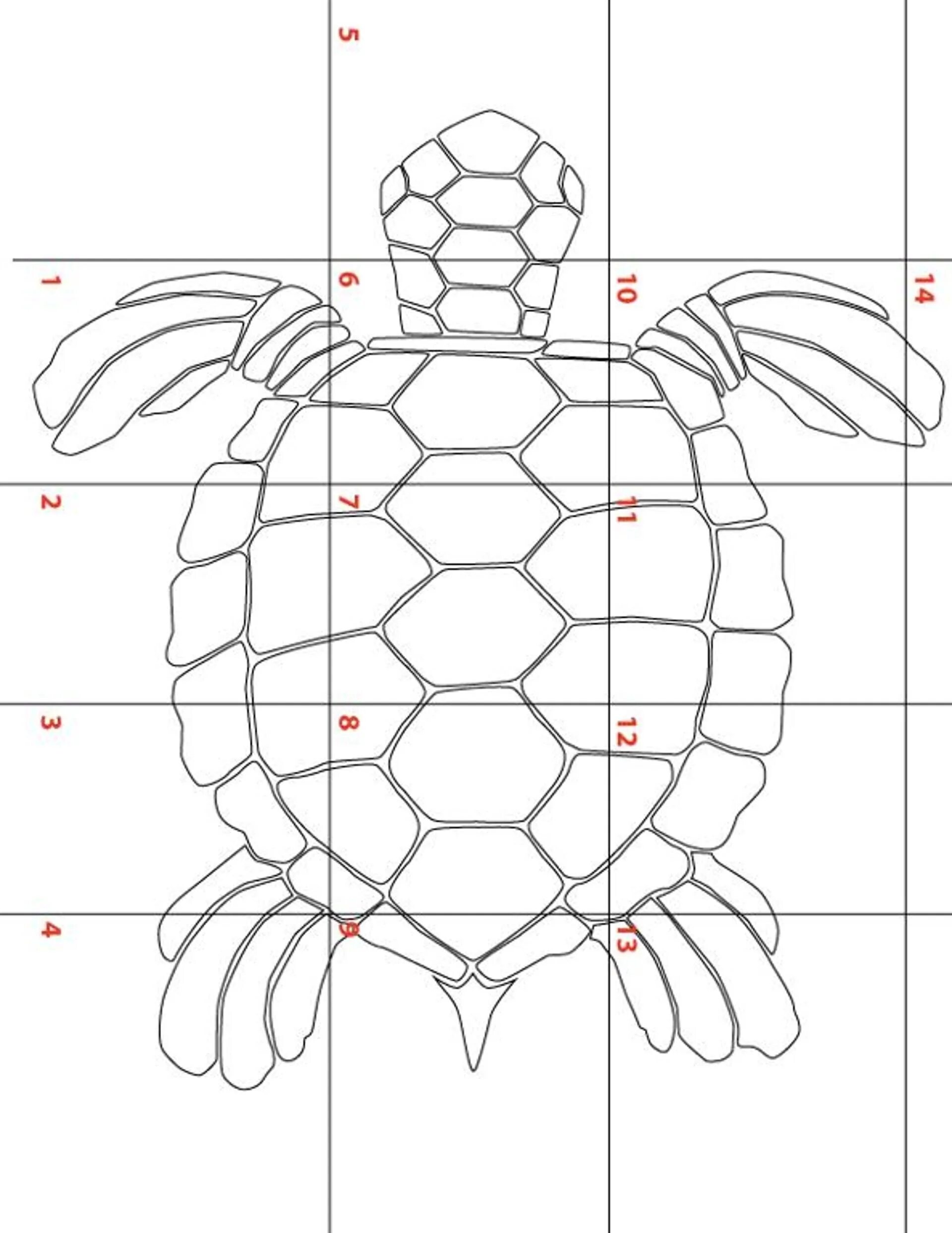 Построение черепаха. Черепаха панцирь узор снизу. Рисунок морская черепаха сверху снизу. Морская черепаха вид снизу схема. Трафареты черепахи.