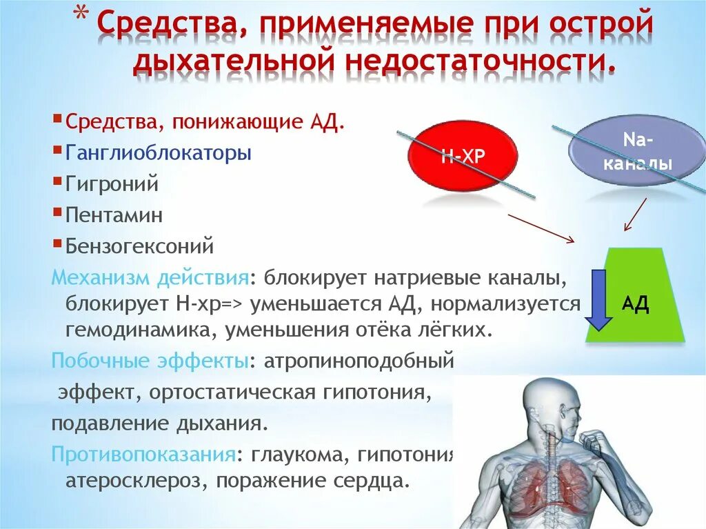 Дыхание при сердечной недостаточности. Средства применяемые при острой дыхательной недостаточности. При отсрой дыхательной недостаточн. Лекарственное средство при дыхательной недостаточности. Лекарственные средства при острой дыхательной недостаточности.