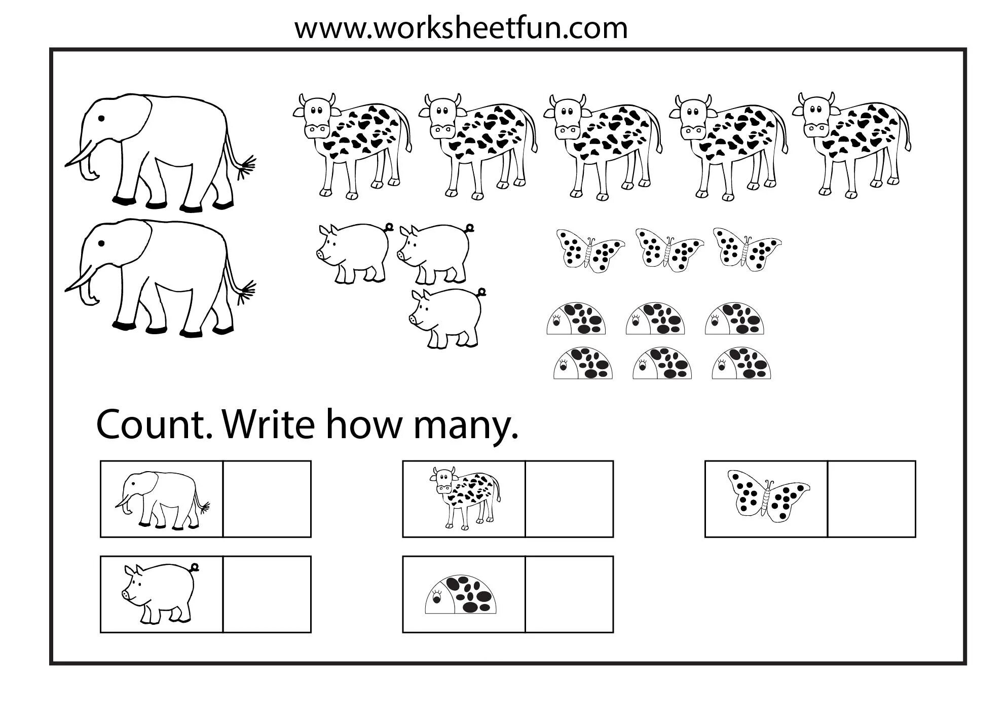 Write in is are how many. Задания для детей how many count. how many для детей. numbers worksheets для детей. картинки-задания how many.