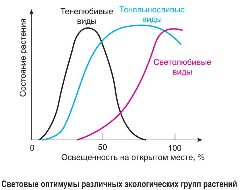 Таблица группы растений по отношению к теплу