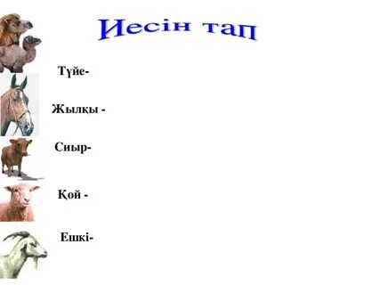 Әйелдер моншасындағы жасырын камера