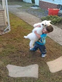 I saw dog