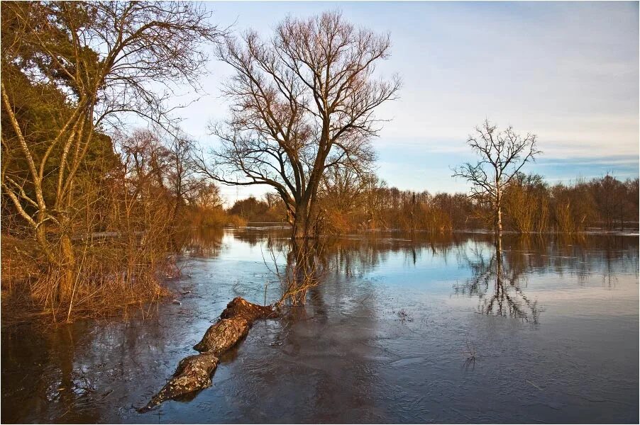 Река разлилась. Разлив реки у деревни Темниково.