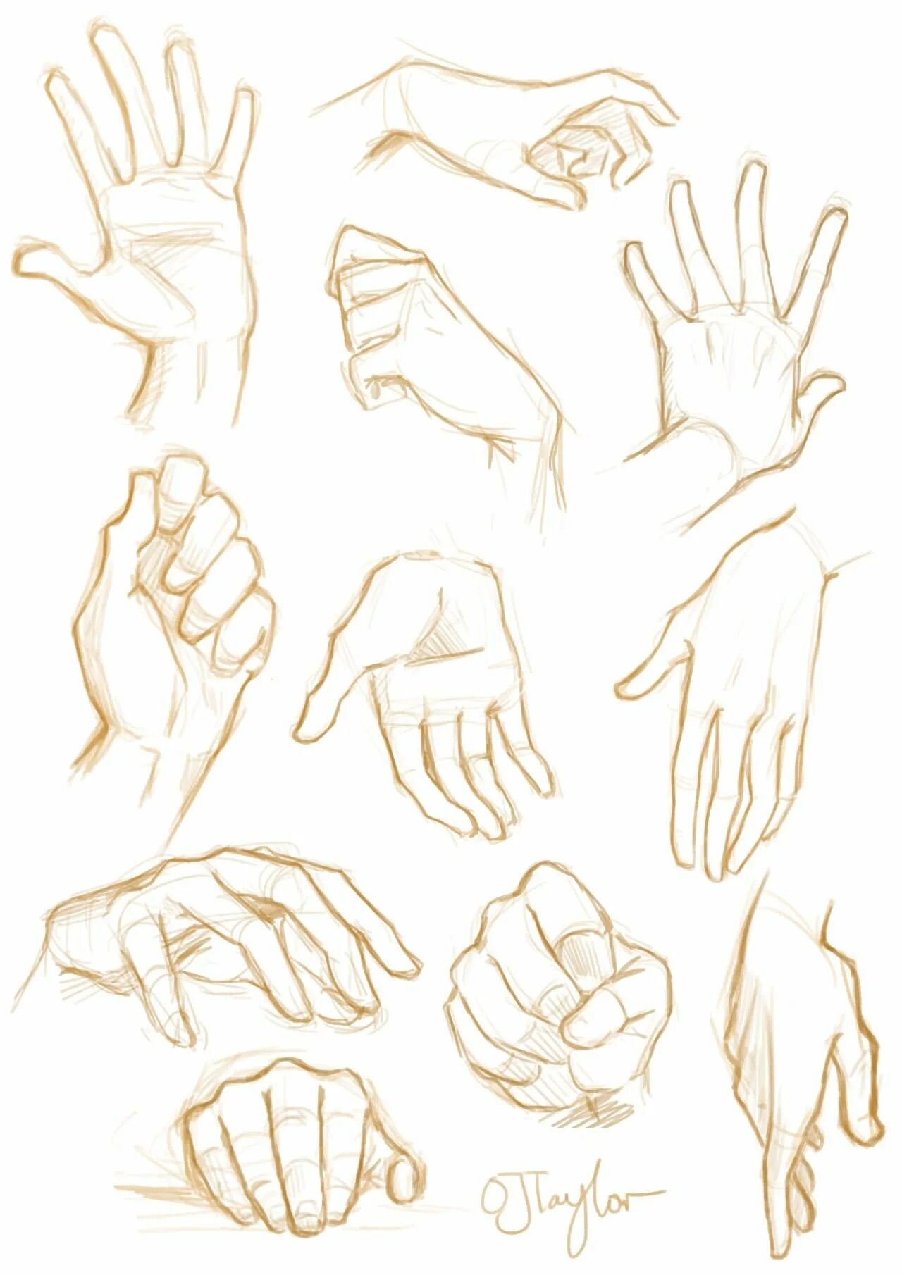 Референсы рук. Руки для рисования. Руки референсы для рисования. Кисти рук для рисования.