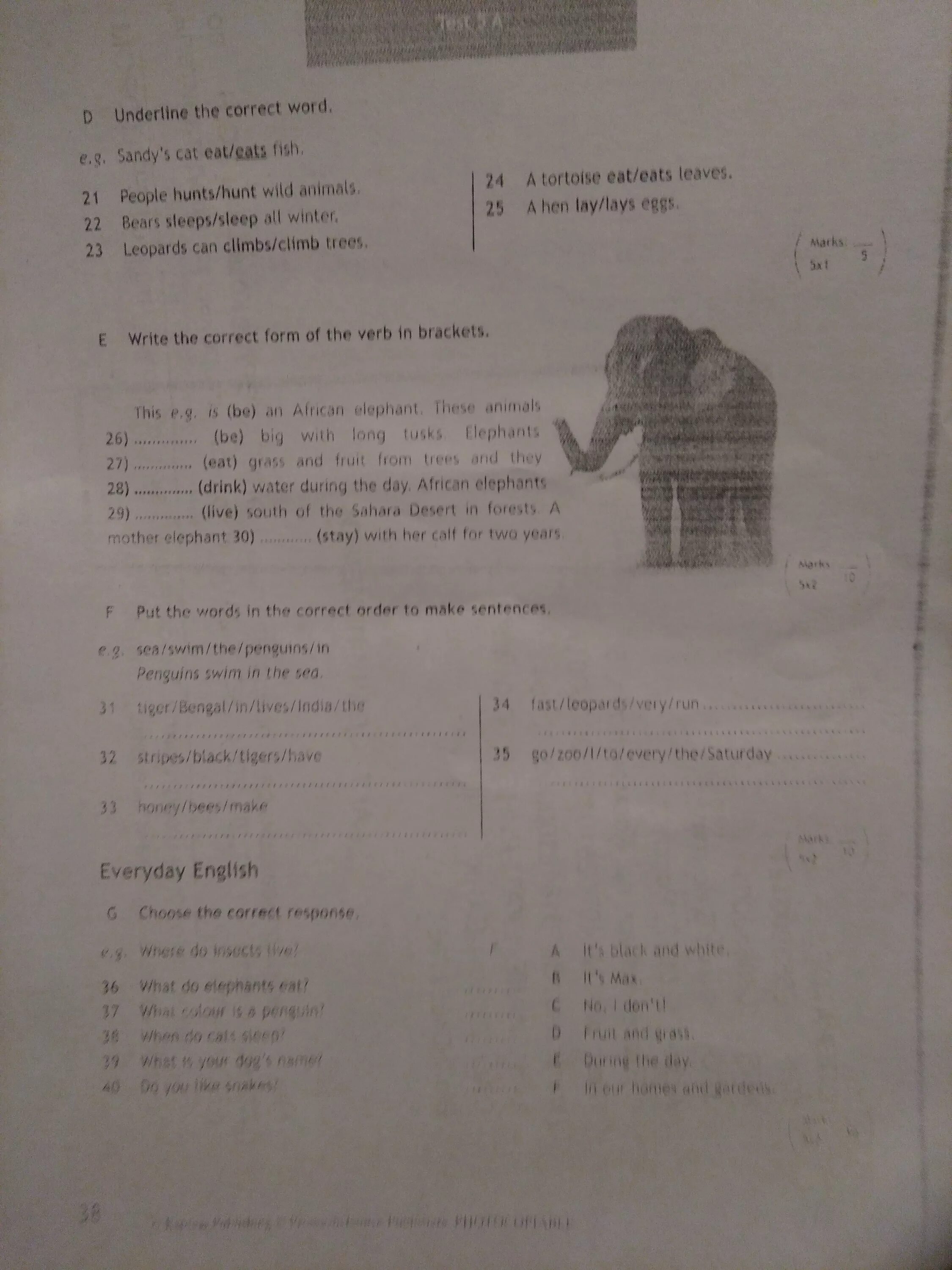 Решение underline the correct Word.. Underline the correct Word. Underline the correct Word 6 класс. Write the correct form of the verb in Brackets this e.g is be an African Elephant. Underline the correct verb 5