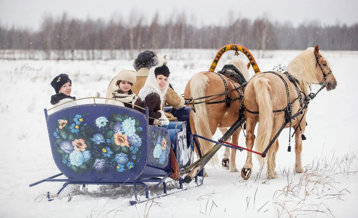 Сани-розвальни на Руси. Расписные сани. Русские сани для лошади. Лошадь с санями.