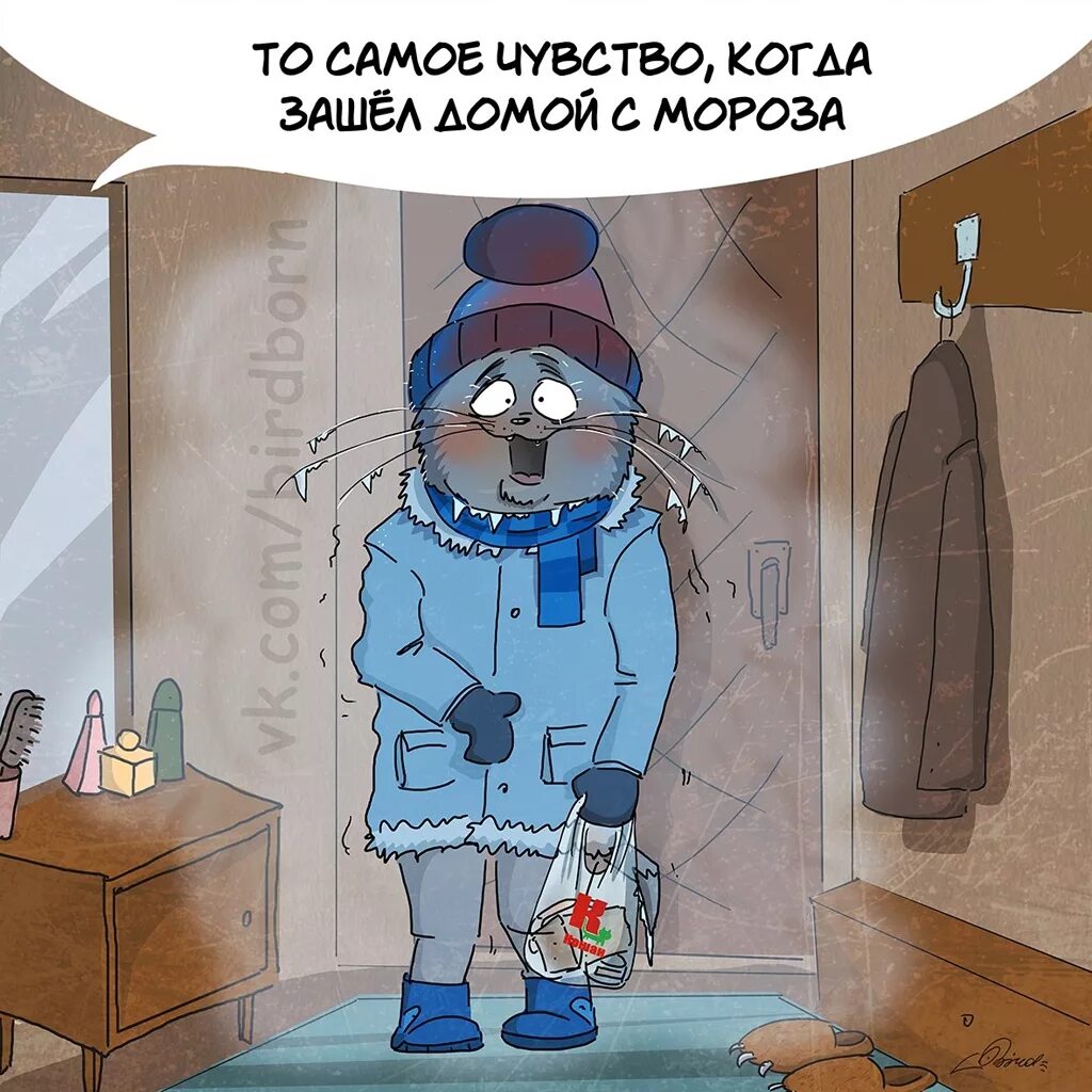 Очень холодно утро. Приколы про холод в квартире. Приколы про Мороз. Прикольные статусы про холод. Мороз юмор.