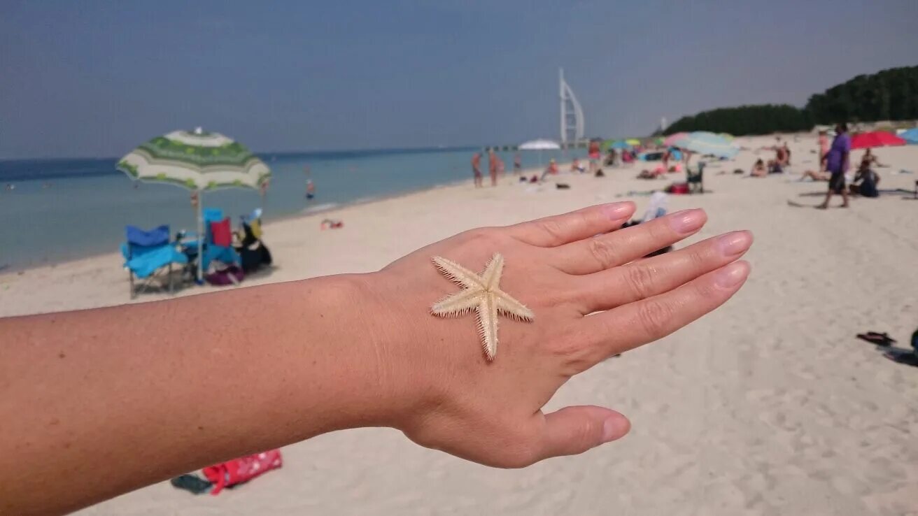 Пляж аль суфух. Al Sufouh Beach Дубай. Пляж в Дубае al Sufouh. Пляж АС-Суфух Дубай. Пляж Sufouh Beach.