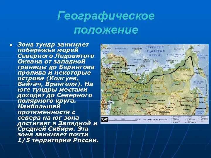 Тайга относительно основных условных линий на карте