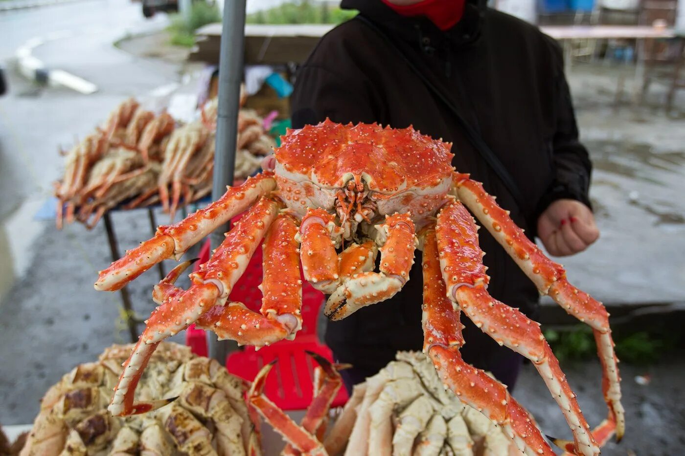 Южно сахалинск камчатский краб. Сахалин рынок краб взморье. Сахалинские крабы гигана. Южно сахалинск крабы. Дальневосточный краб.