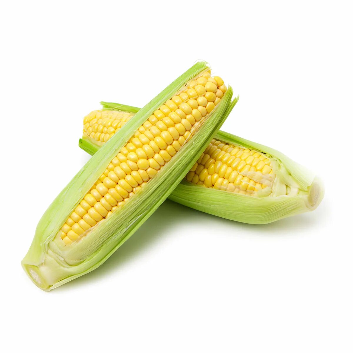 Кукуруза. Кукуруза початок. Кукуруза молодая. Качан кукурузы. Corn кукуруза